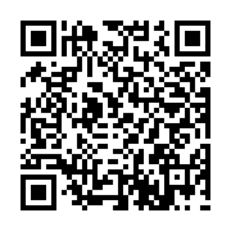 QR code for S446541