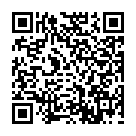QR code for S449411