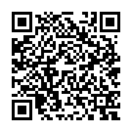 QR code for S456338