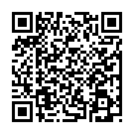QR code for S466260