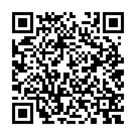QR code for S472238