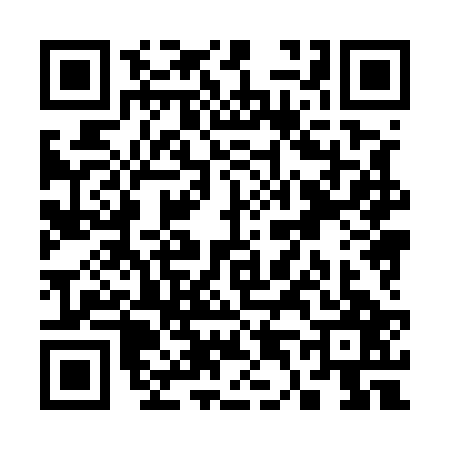 QR code for S485271