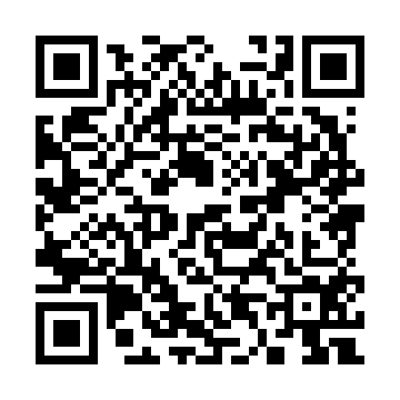 QR code for S486546