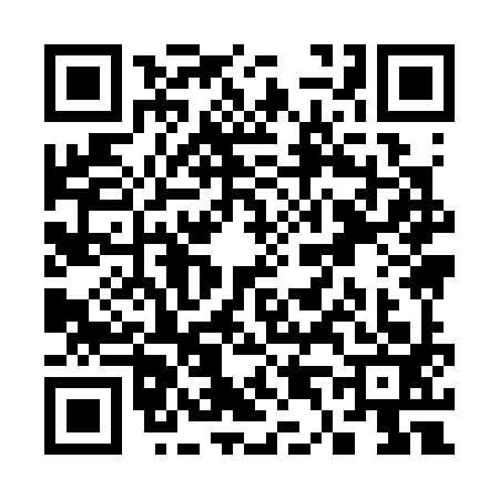 QR code for S493939