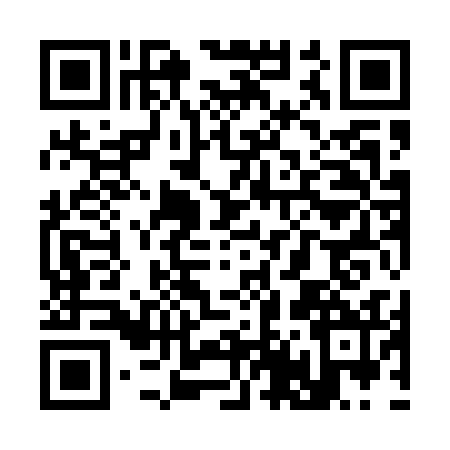 QR code for S495321