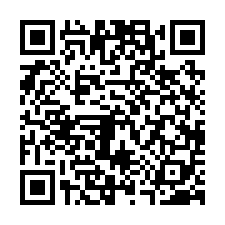 QR code for S502593