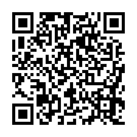 QR code for S508779