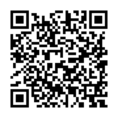 QR code for S509901