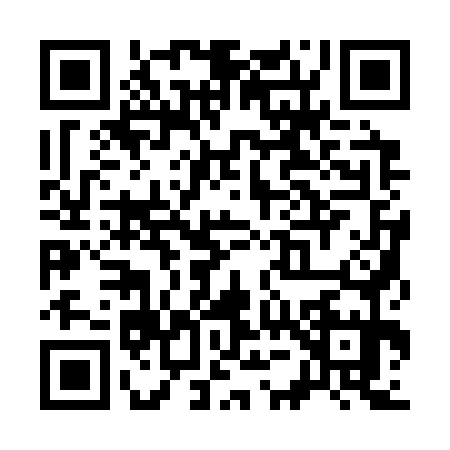 QR code for S513755