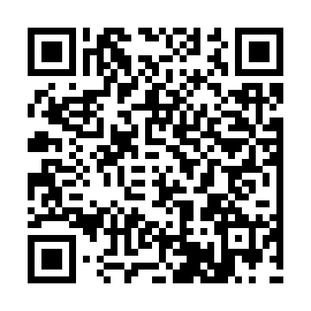 QR code for S523208
