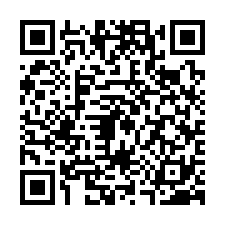QR code for S533317