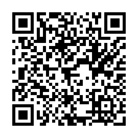 QR code for S538342