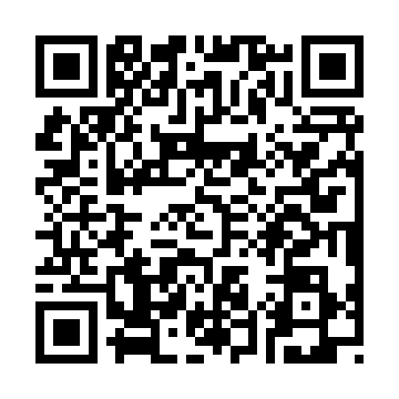 QR code for S538388