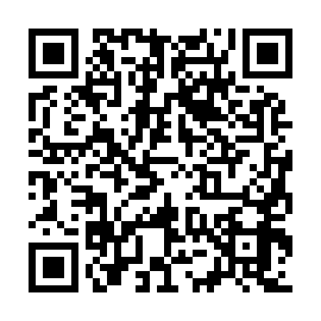QR code for S539599