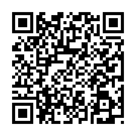 QR code for S541168