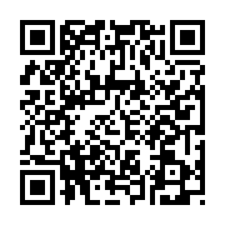 QR code for S541639