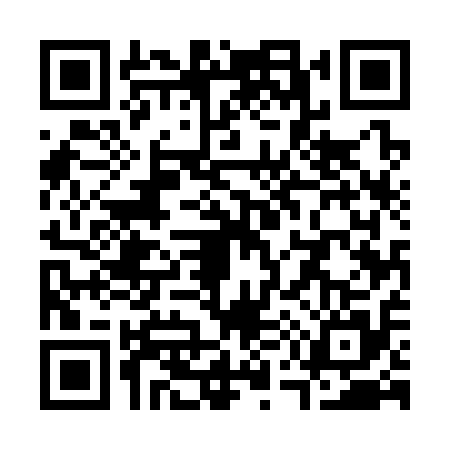 QR code for S553153