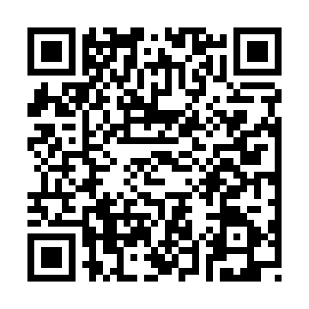 QR code for S561250