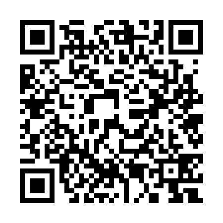 QR code for S573395