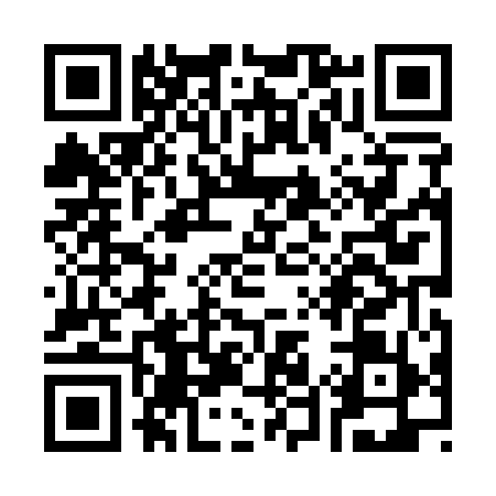 QR code for S581594