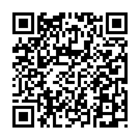 QR code for S585490