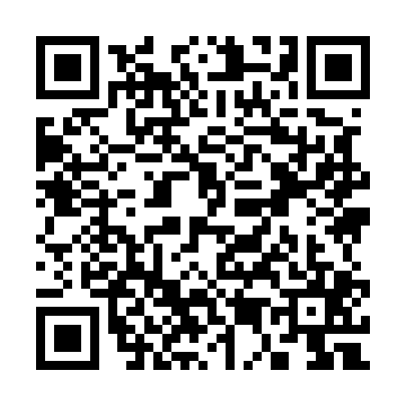 QR code for S595054