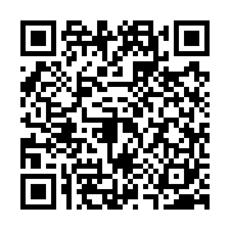 QR code for S597611