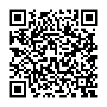 QR code for S600528