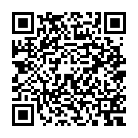QR code for S613519