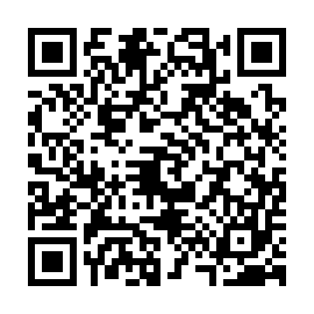 QR code for S613576