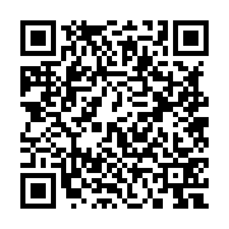 QR code for S628738