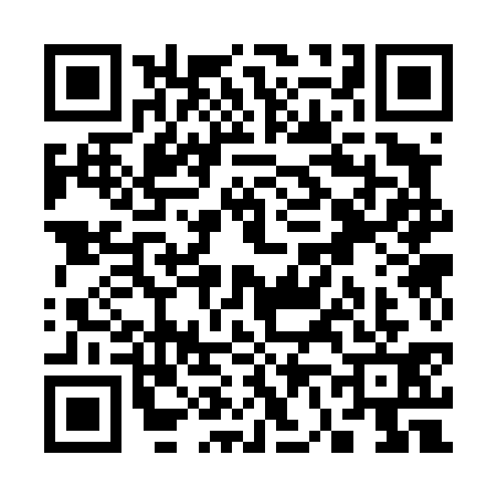 QR code for S634313