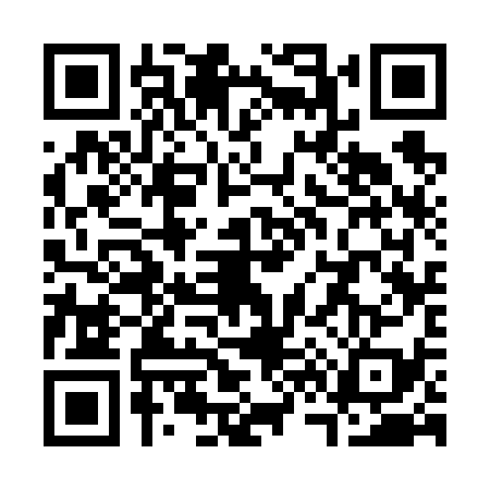 QR code for S636396