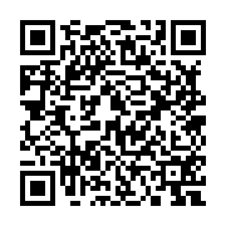 QR code for S638546