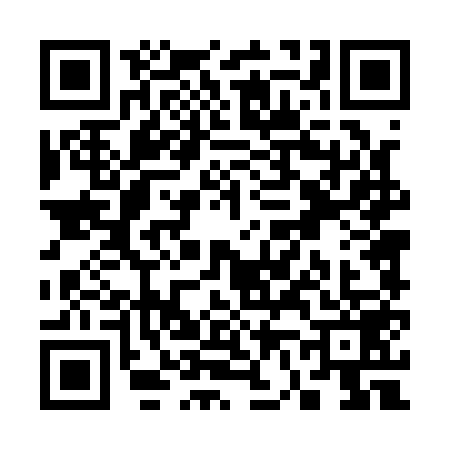 QR code for S641596