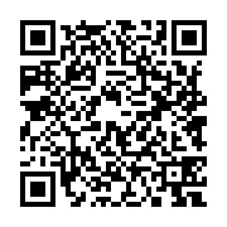 QR code for S649383