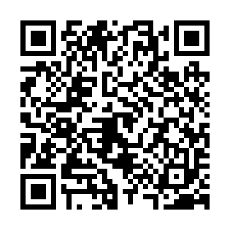 QR code for S652938