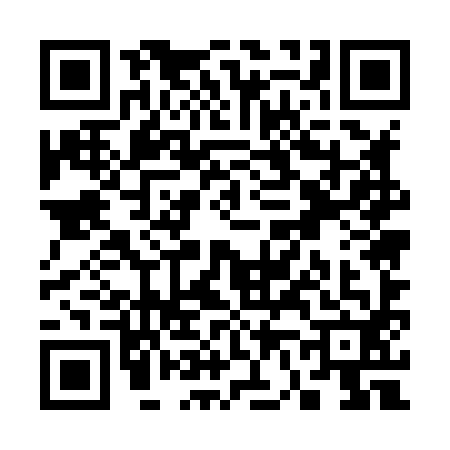 QR code for S658928