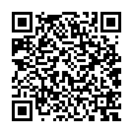 QR code for S663289