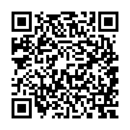 QR code for S666855