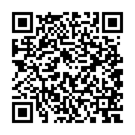 QR code for S667419