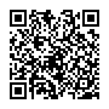 QR code for S667602