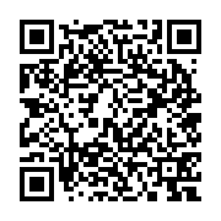 QR code for S672717