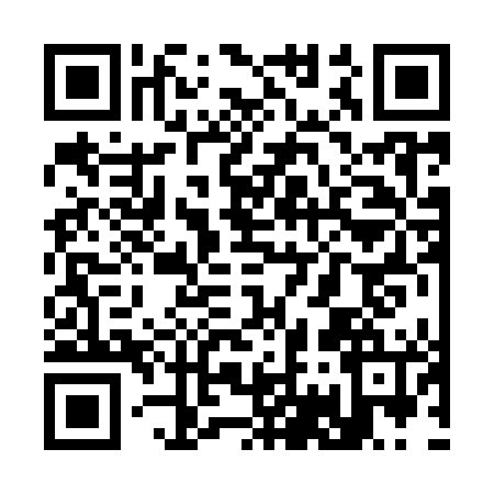 QR code for S729465
