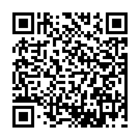 QR code for S729919
