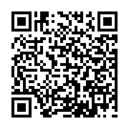QR code for S738338