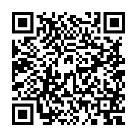 QR code for S738838