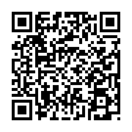 QR code for S811542