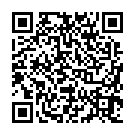 QR code for S812809