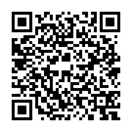 QR code for S817343